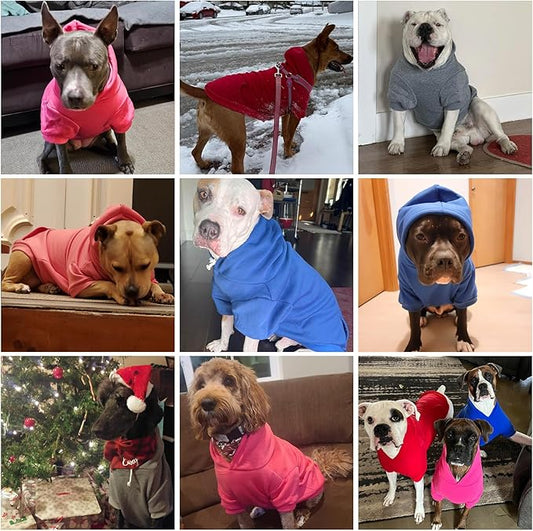 KOOLTAIL Dog Hoodie for Large Medium Small Dogs,Soft &Warm Pet Sweater with Leash Hole and Pocket Boy Girl,Puppy Fall Winter Jacket Clothes,French Pitbull Cold Weather Coat Sweatshirt,Orange M