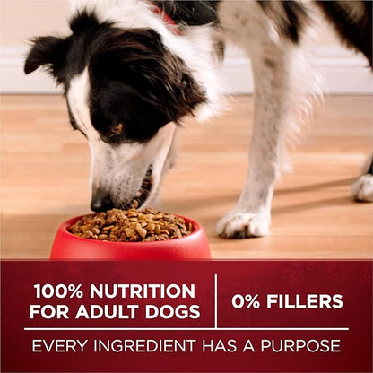 Purina One True Instinct Lean Muscle Support With Real Beef Natural With Added Vitamins, Minerals and Nutrients High Protein Dog Food - 3.8 lb. Bag