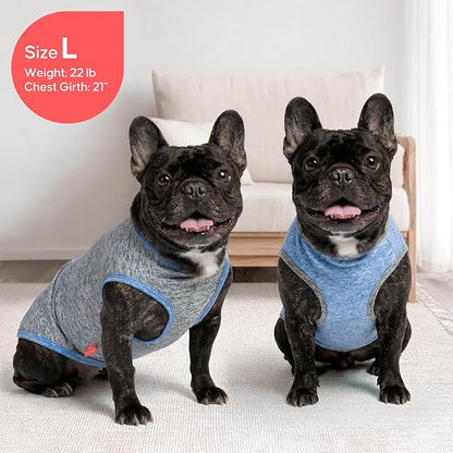 KYEESE 2Pack Dog Shirt, Lightweight Sun Protection Sleeveless Dog T Shirts for Small Dogs Boy, Breathable Pet Reflective Tank Top Summer Dogs Clothes for Outdoor Walking, Grey+Light Blue, M