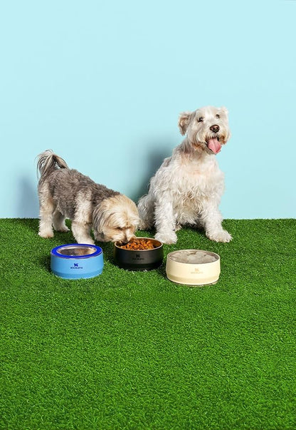 STANLEY Pet Bowl | 3-Cup (24 oz) Insulated Stainless Steel Dog & Cat Bowl | Splash-Resistant Lid | Dishwasher Safe | BPA-Free | Cream