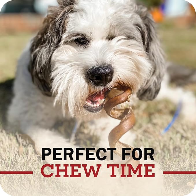 Redbarn Pet Products 9" Bully Sticks for Dogs, Pack of 50