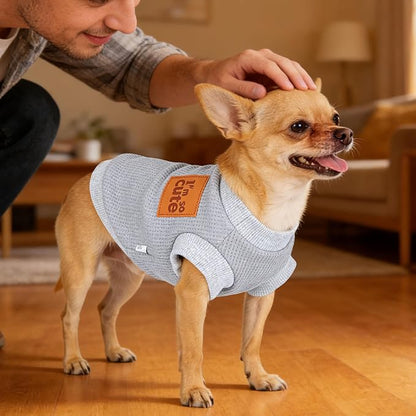 2 Pack Dog Shirt Vest Dog Clothes for Small Dogs Summer Waffle Puppy T-Shirts Soft Sleeveless Pet Clothes Lightweight Medium Large Doggy Outfit Cat Clothing (Blue+Grey, X-Large)