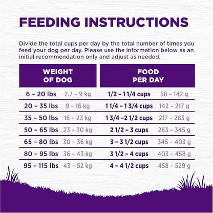 Wellness Complete Health Age Advantage Senior Dry Dog Food, Wholesome Grain Kibble, Natural, Chicken and Barley Recipe, 30 lb Bag