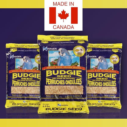 Hagen Parakeet/Budgie Staple White Millet Bird Seed – Premium Blend, Nutritionally Balanced, Fortified with Vitamins & Minerals, Dust-Free Mix for Budgies, 6 lb Bag