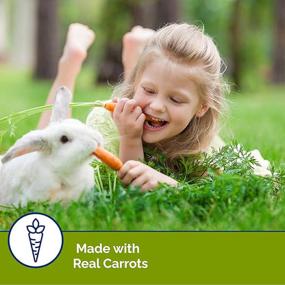 Vitakraft Slims Carrot Small Animal Treats – Light, Healthy Food Bites - Crispy Carrot Treats for Rabbits, Guinea Pigs, Hamsters & Chinchillas (10oz)