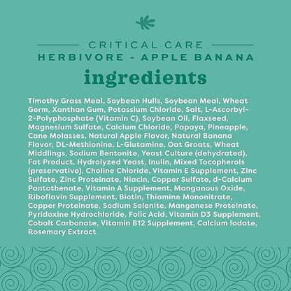 Oxbow Critical Care Herbivore, Emergency Guinea Pig Food, Rabbit Food for Recovery, Natural Apple Banana Flavor, Critical Care for Guinea Pig Emergency Kit, Made in USA, 141 Grams