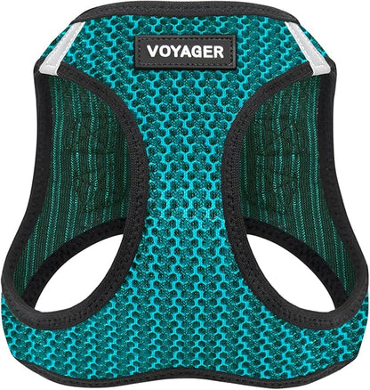 Best Pet Supplies - All Weather Mesh/Plush, Reflective, No Pull Harness for Small, Medium Dogs, Cats - Secure with Hook & Loop Fastener, Buckle, Double D-Rings - Turquoise 2-Tone, L