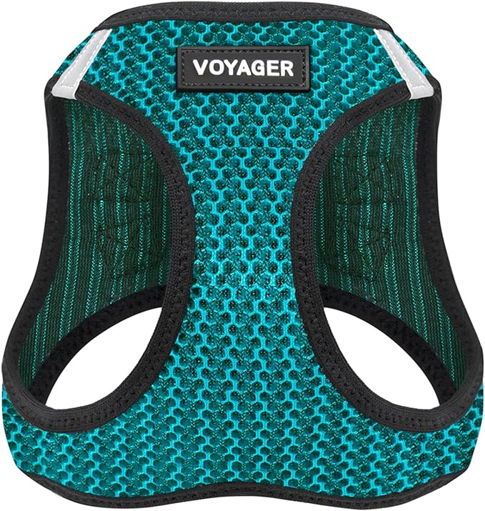 Best Pet Supplies - All Weather Mesh/Plush, Reflective, No Pull Harness for Small, Medium Dogs, Cats - Secure with Hook & Loop Fastener, Buckle, Double D-Rings - Turquoise 2-Tone, S
