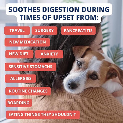 Under the Weather Bland Diet for Dogs | Easy to Digest Stomach Support for Sick Dogs | Contains Electrolytes, All Natural | 2 Pack - Turkey, Oatmeal, Sweet Potato & Slippery Elm - 6oz