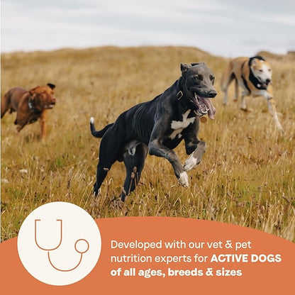 CANIDAE All Life Stages High Protein Dry Dog Food, Salmon & Ancient Grains Recipe, 4 lbs. (Pack of 2)