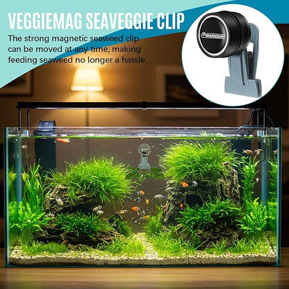 Blulu 4 Pcs Magnetic Seaweed Feeding Clips Saltwater Aquarium Tank Accessories Algae Magnet Seaweed Feeder for Fish and Aquatic Pets, Automatic Fish Feeder