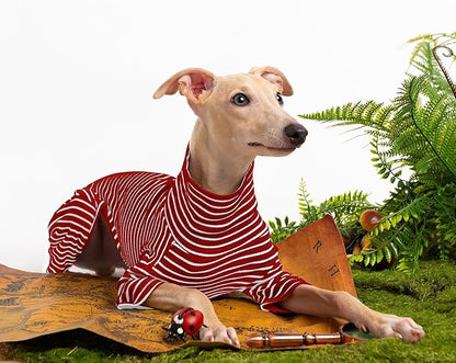 Dog Sweaters for Small Dogs Girls Boys, Striped Pet Sweaters for Fall Winter Dog Clothes, Turtleneck Pullover Knitwear for Small Medium Large Dogs