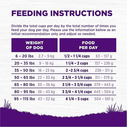 Wellness Complete Health Adult Dry Dog Food, Wholesome Grain Kibble, Natural, Lamb and Barley Recipe, 5 lb Bag