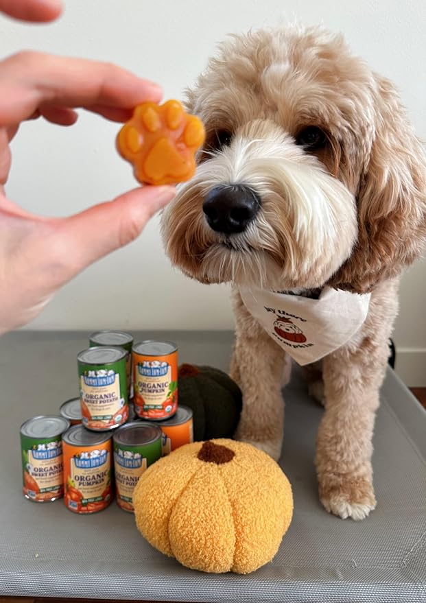 Nummy Tum Tum Organic Sweet Potato For Dogs & Cats, 15 Ounce (Pack of 12)