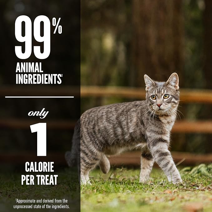 ORIJEN Freeze Dried Cat Treats Grain Free High Protein Raw Animal Ingredients Six Fish 1.25oz Bag