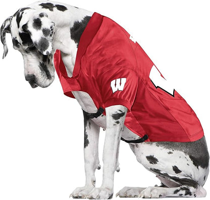 Littlearth NCAA Stretch Pet Jersey for Big Dogs
