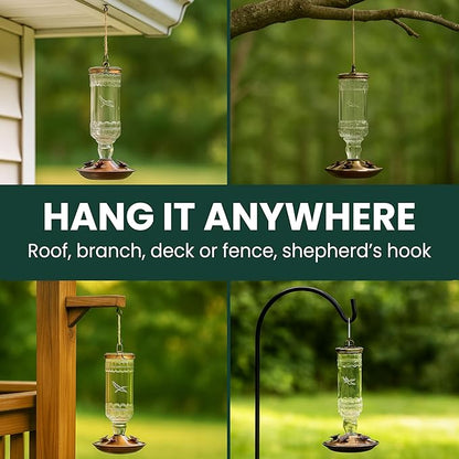 Perky-Pet Antique Glass Bottle Hummingbird Feeder - Outdoor Garden Décor Hummingbird Feeder - 8107-1SR - 10 Fl Oz Nectar Capacity - Durable Humming bird Feeder for Backyards, Porches, Decks, Hooks