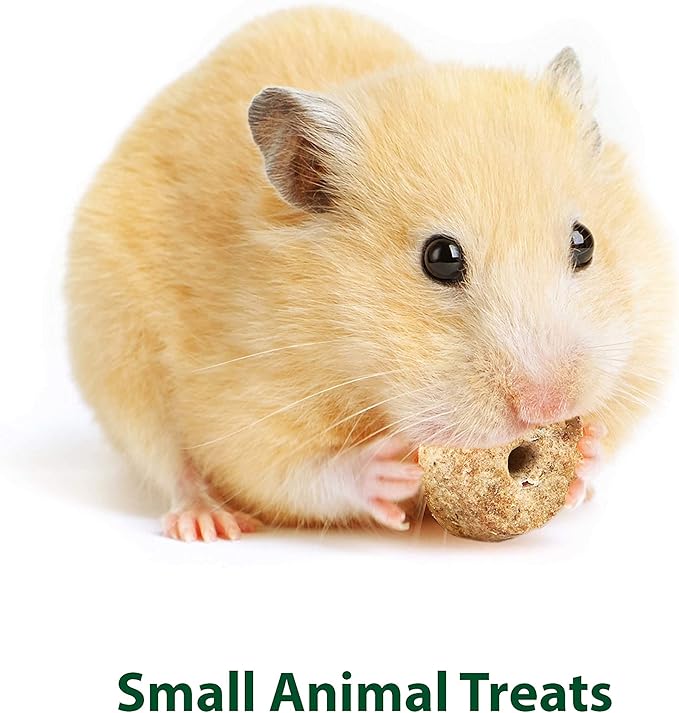 Kaytee Timothy Biscuits Baked Treat for Pet Guinea Pigs, Rabbits & Other Small Animals, Apple, 4 oz