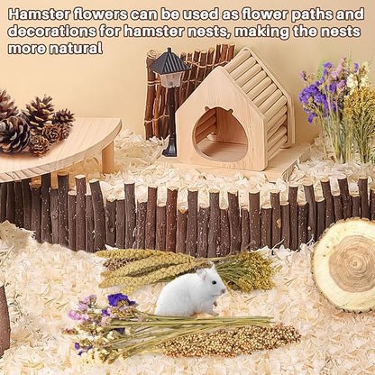 Sukh Natural Hamster Bedding Sprays - Foraging Habitat Decor Cage Accessories, Hideout Enrichment for Dwarf & Syrian Hamsters, Gerbils, Mice and Other Small Animals
