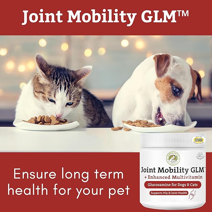 Wholistic Pet Organics - Hip and Joint Supplement for Dogs & Cats - Cat & Dog Joint Supplement - Green Lipped Mussels, Glucosamine, Chondroitin for Dogs & Cat Mobility Support - 1 Lb - 45 Scoops