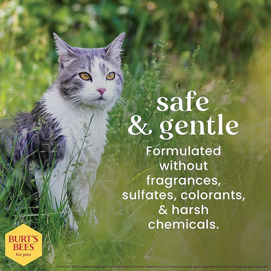 Burt's Bees for Pets Cat Dander Remover Wipes, Unscented Soft Grooming Cloths with Colloidal Oat Flour + Aloe, Helps Reduce Flaking Between Baths for Cats & Kittens, 50 Count - 6 Pack