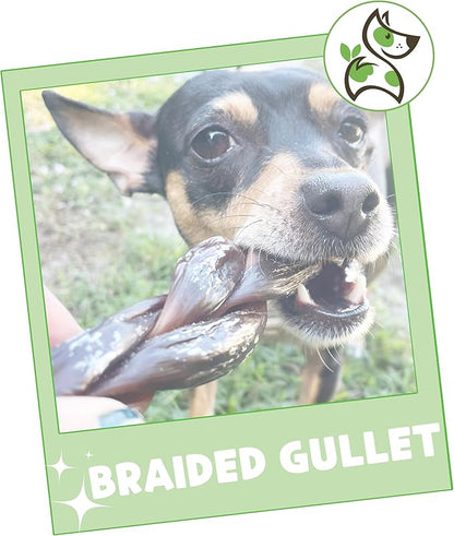 Nature Gnaws Braided Beef Gullet Chews for Dogs 5-6" (10 Count) - Long Lasting for Small and Medium Dogs - Natural Beef Jerky Dog Chew Bones