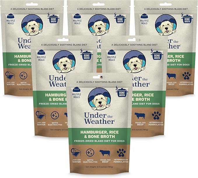 Under The Weather Easy to Digest Bland Dog Food Diet for Sick Dogs | Contains Electrolytes | Gluten Free, Freeze Dried 100% Human Grade Meats | 6 Pack - Rice, Hamburger & Bone Broth