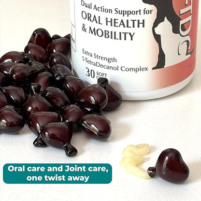 1TDC WorksSoWell Dual Action Hip and Joint Supplement for Dogs & Cats - for Large & Small Breed - Great for Oral Health, Stamina Recovery & Arthritis Pain Relief -30 ct