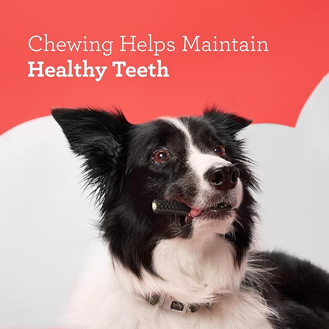 DreamBone Triple Action Dental Sticks Charcoal, 6 Count, Rawhide-Free Chews for Large and XL Sized Dogs Freshens Breath