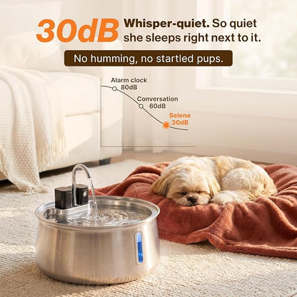 Selene Wireless Doggy Fountain, 4L (1.1 Gal) Cordless Dog Water Fountain for Dogs Inside, Stainless Steel Pet Fountain, 4-Layer Filtration, 30-Day Battery