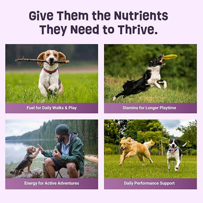 Gruffies Organic Dog Treats – Peanut Butter Flavor with Superfoods – High Protein & Omega-3 – No Fillers – Non-GMO – Vet Approved – Made in Canada – 6 oz (Pack of 1)