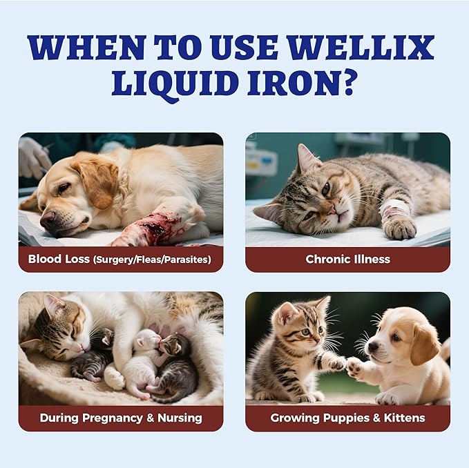 4oz Liquid Iron Supplement for Cats&Dogs-Vitamin B12&C-Cat Anemia Supplements, Hemoglobin Support,Lethargy,Pregnant Cat&Dog Essentials,Kitten & Puppy Supplements-Large Volume