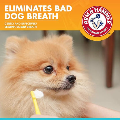 Arm & Hammer for Pets Fresh Breath Enzymatic Dog Toothpaste, Chicken Flavor, Safe for Puppies and Adult Dogs, Daily Baking Soda Dental Gel to Eliminate Bad Breath, 2.5 Oz - 3 Pack