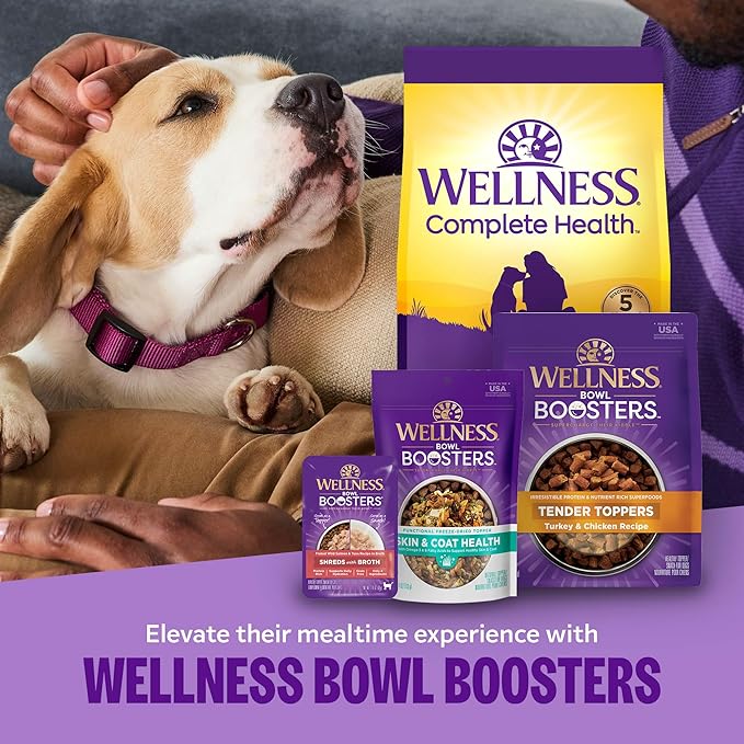 Wellness Complete Health Adult Dry Dog Food, Wholesome Grain Kibble, Natural, Lamb and Barley Recipe, 5 lb Bag
