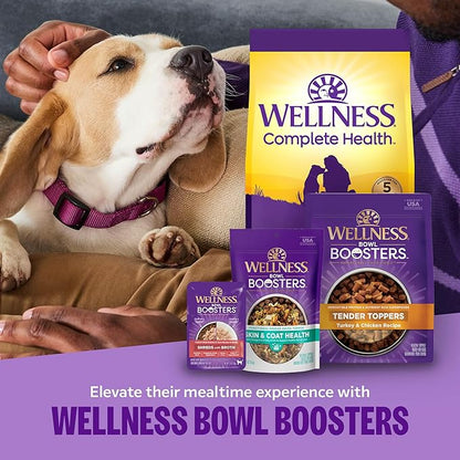 Wellness Complete Health Small Breed Adult Dry Dog Food, Grain Free Kibble, Chicken and Salmon Recipe, 11 lb Bag