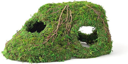 Galápagos (05370) Mossy Sapa Corner Hide - The Perfect Reptile Hide for Security and Comfort - A Natural and Secure Hide for Reptiles, Amphibians, and Invertebrates, L10” x W5.5” x H4.5”