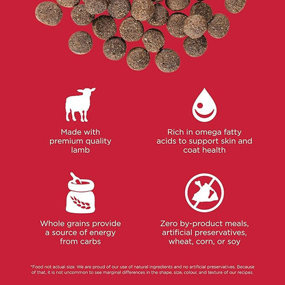Go! Solutions Skin + Coat Care Lamb Dry Dog Food with Grains, Chicken-Free, Healthy Kibble with Omega-3s & 6s for Soft, Shiny Fur, for Puppies, Adults, & Seniors, 12 lb Bag
