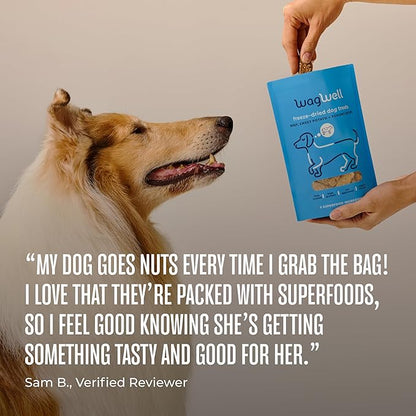 WagWell Freeze Dried Dog Treats, Beef + Yogurt + Sweet Potato Flavor | Training Treats, Food Topper, Healthy Snack for Dogs | Human Grade, Grain Free, High Protein | Made in USA | 4 oz Bag, 2 Pack
