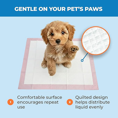 Best Pet Supplies Puppy Pads (22.5 x 22 Inches) - Disposable, Dog Training Potty , Super Absorbent Baby Pink Puppy Pee Pads for Dogs (100 Count)