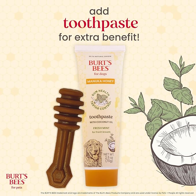 BURT'S BEES FOR PETS Dental Treats for Dogs with Manuka Honey & Ginger, Holistic, Plant-Based Oral Care, 98% Natural Origin Formulas, Sweet Potato Flavor, Dog Treats Medium Dogs, Sz Md/Lg 5ct, 7 oz