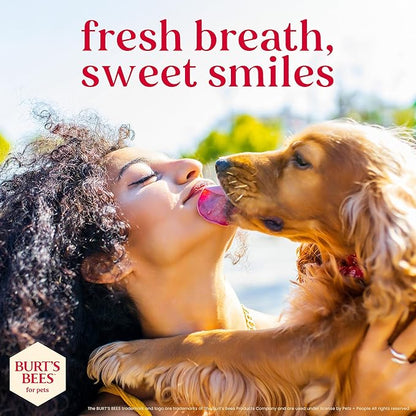 BURT'S BEES FOR PETS Dental Treats for Dogs with Manuka Honey & Ginger, Holistic, Plant-Based Oral Care, 98% Natural Origin Formulas, Peanut Butter Flavor, Dog Treats Small Dogs, Sz Small 10ct, 7 oz