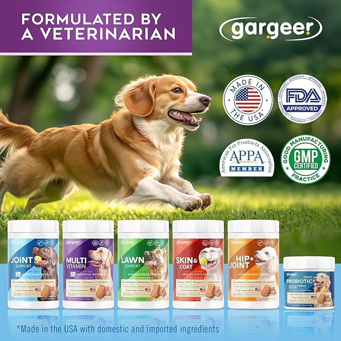 Gargeer Dog Multivitamin 21-in-1 Chews for Dogs. Rich with Fatty Acids & Antioxidants. Supports Healthy Gut, Mobility & Immune System. for Seniors and Puppies – 60 Soft Chews, Made in the USA, Enjoy!