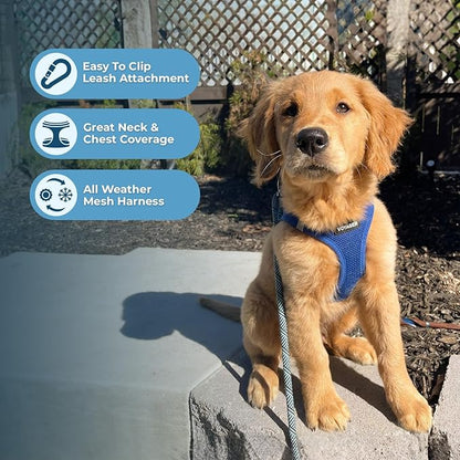 Best Pet Supplies Voyager Step-in Air All Weather Mesh Harness and Reflective Dog 5ft Leash Combo with Neoprene Handle, for Small, Medium and Large Breed Puppies - Set (Royal Blue), X-Small