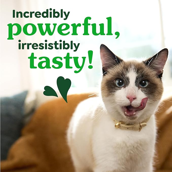 Greenies Cat Treats, Feline Veterinarian-Recommended Adult Natural Dental Treats, Catnip Flavor, 21 oz. Tub