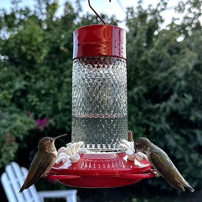Nature's Way Hanging Glass Hummingbird Feeder for Outdoor Décor, 13 Ounce Capacity Nectar Feeder, Ant Moat, 4 Easy to Clean Flexible Ports, Red