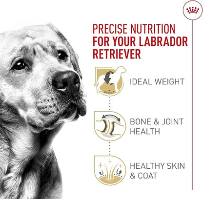 Royal Canin Labrador Retriever Adult Dry Dog Food, 30 lb bag
