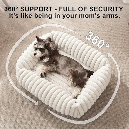FURTIME Dog Bed for Small Medium Dog, Washable Orthopedic Pet Bed with Removable Cover, Rectangle Soft Calming Sleeping Puppy Bed Durable Pet Cuddler with Anti-Slip Bottom, Cream, M (25"x21"x7")