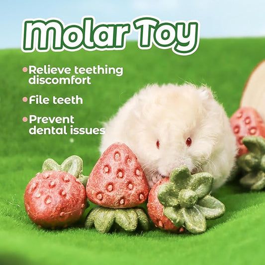 TEEWY Guinea Pig Toys, 4PCS Strawberry Shaped Hamster Toys, Natural Guinea Pig Chew Toys for Teeth Grinding, Hamster Enrichment Toys for Hamster, Gerbil, Chinchilla, Rat