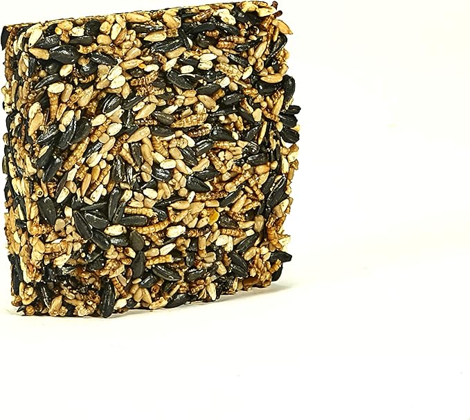 Kaytee Wild Bird Seed & Mealworm Seed Treat Cake, 6 Ounces