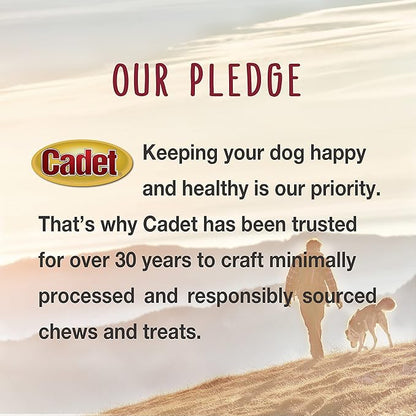 Cadet Stuffed Shin Bone, Long-Lasting Dog Chew Bones for Aggressive Chewers, High Protein Filled Bone Dental Chew for Dogs, Bully Stick Flavor Filling, 5-6" for Large Dogs